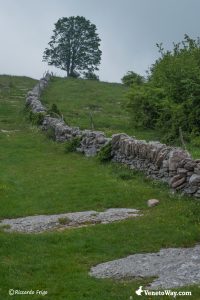 Valley of the Sphinxes Excursion